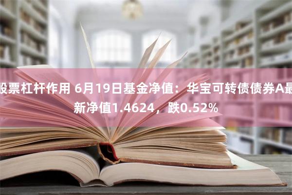 股票杠杆作用 6月19日基金净值：华宝可转债债券A最新净值1.4624，跌0.52%