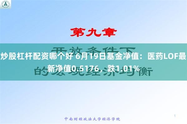 炒股杠杆配资哪个好 6月19日基金净值：医药LOF最新净值0.5176，跌1.01%