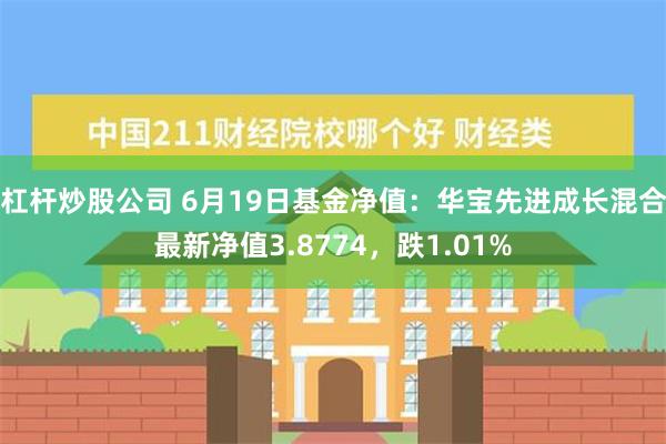 杠杆炒股公司 6月19日基金净值：华宝先进成长混合最新净值3.8774，跌1.01%