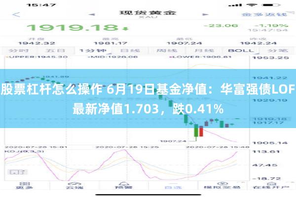 股票杠杆怎么操作 6月19日基金净值：华富强债LOF最新净值1.703，跌0.41%