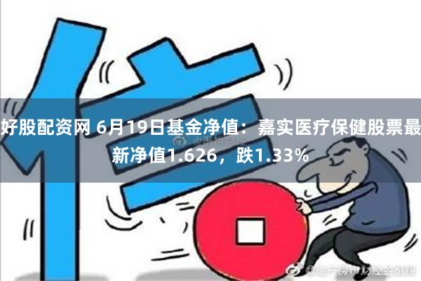 好股配资网 6月19日基金净值：嘉实医疗保健股票最新净值1.626，跌1.33%