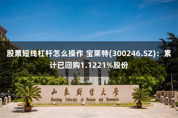 股票短线杠杆怎么操作 宝莱特(300246.SZ)：累计已回购1.1221%股份