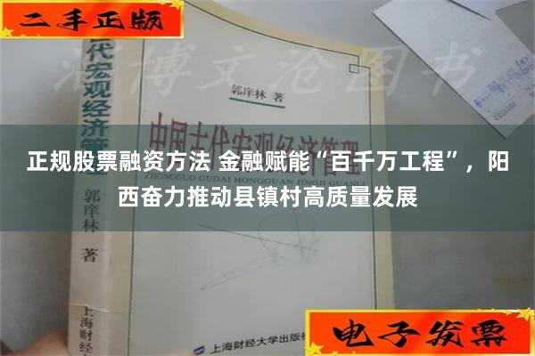 正规股票融资方法 金融赋能“百千万工程”，阳西奋力推动县镇村高质量发展