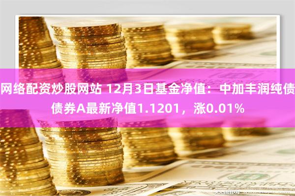 网络配资炒股网站 12月3日基金净值：中加丰润纯债债券A最新净值1.1201，涨0.01%