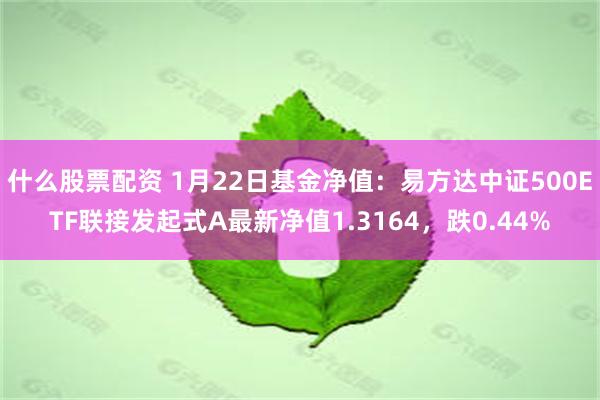 什么股票配资 1月22日基金净值：易方达中证500ETF联接发起式A最新净值1.3164，跌0.44%